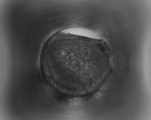 X0000088670196200706141342