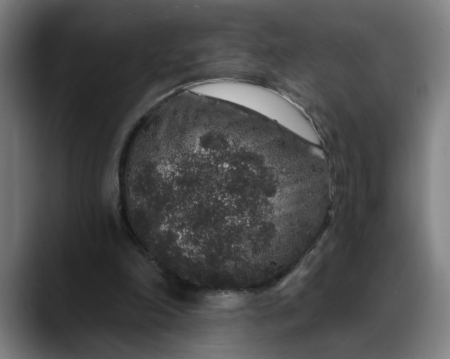 X0000088670198200706141342