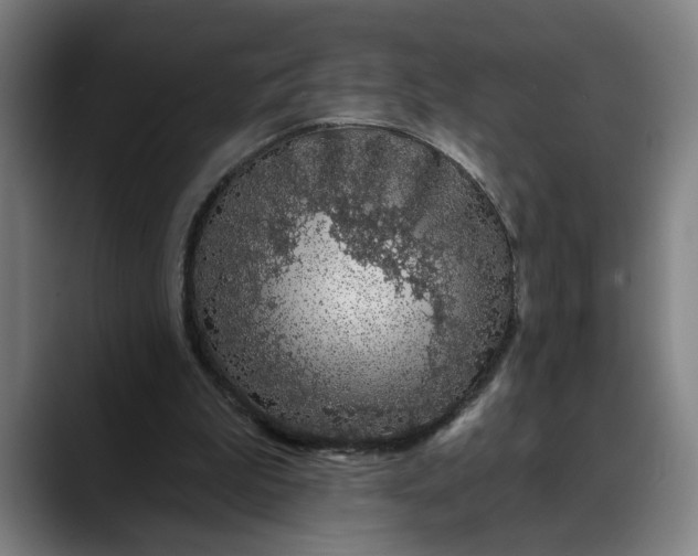 X0000088670199200706141342