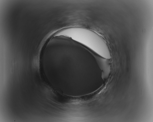 X0000088670200200706141342