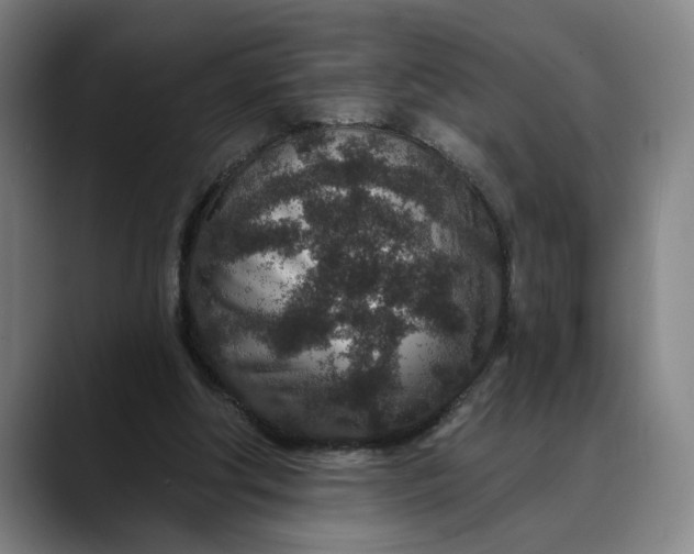 X0000088670202200706141342