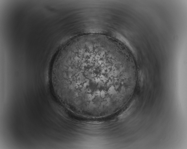 X0000088670203200706141342