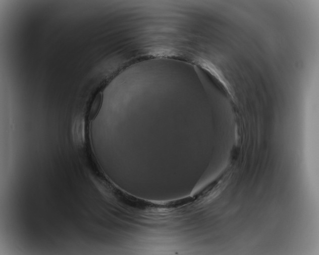 X0000088670205200706141342