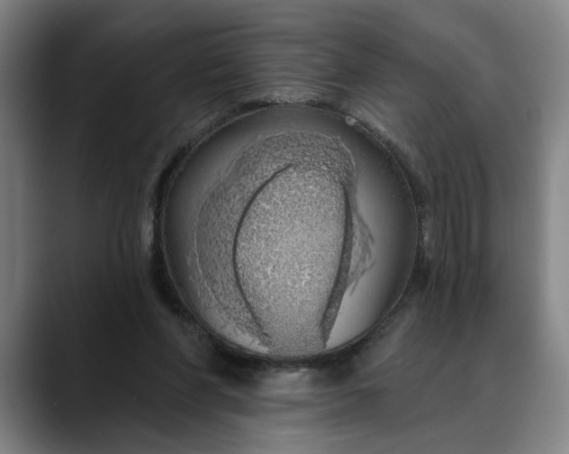 X0000088670206200706141342