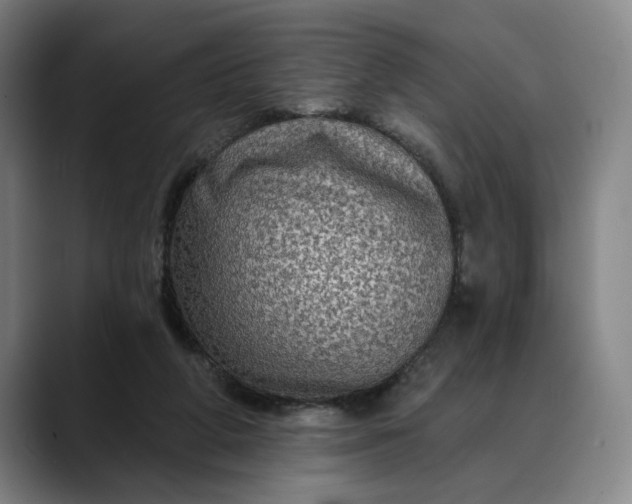 X0000088670210200706141342