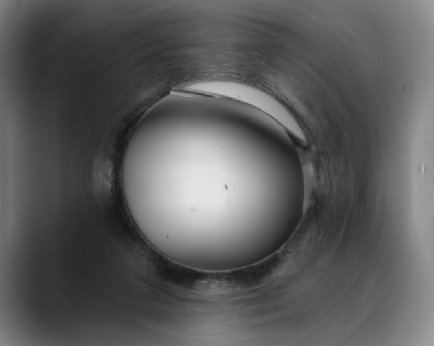 X0000088670211200706141342