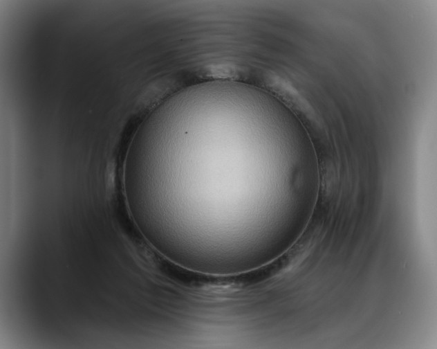 X0000088670213200706141342