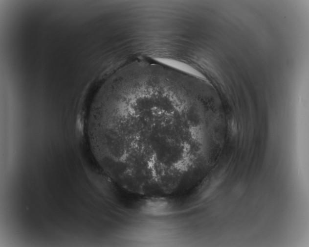 X0000088670214200706141342