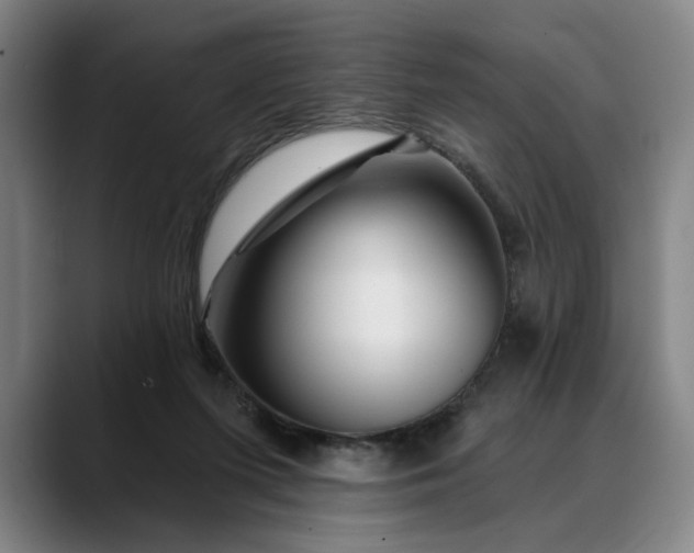 X0000088670215200706141342