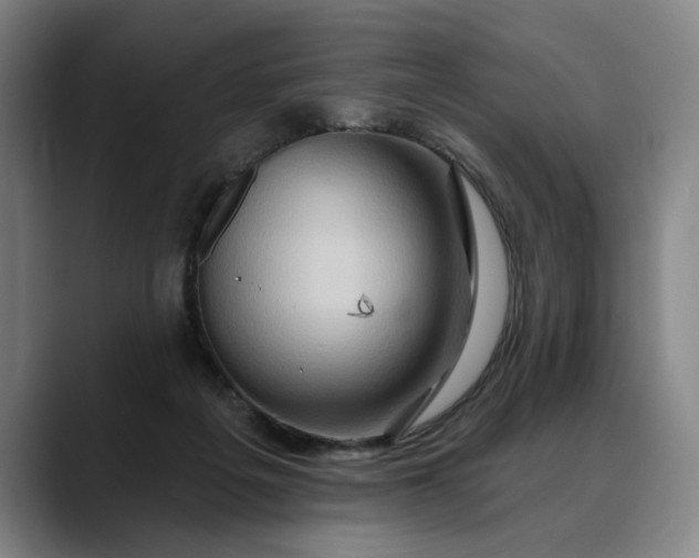 X0000088670217200706141342