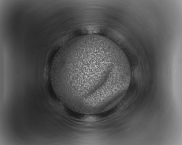 X0000088670218200706141342