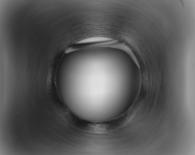 X0000088670221200706141342