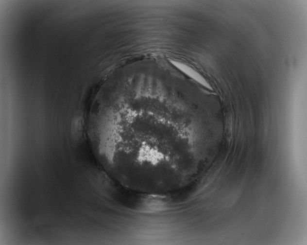 X0000088670222200706141342