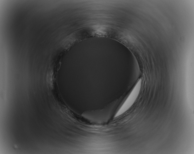 X0000088670223200706141342