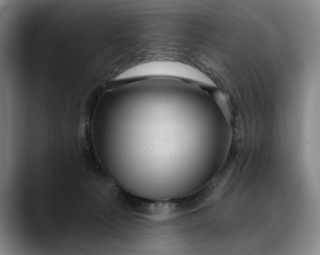 X0000088670225200706141342