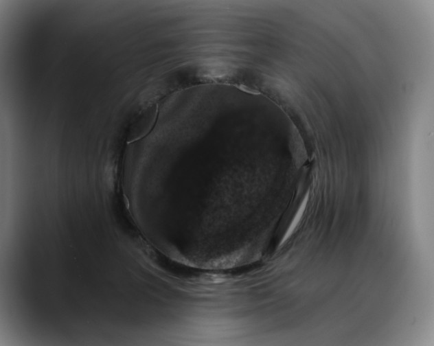 X0000088670227200706141342