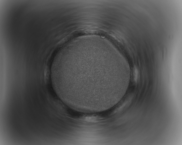 X0000088670228200706141342