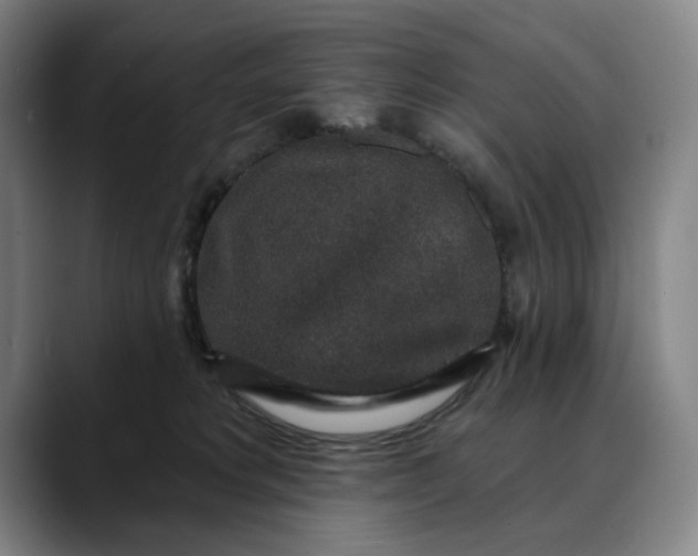 X0000088670229200706141342