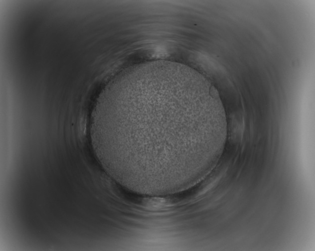 X0000088670230200706141342