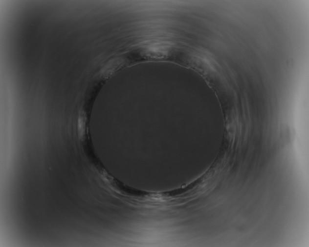 X0000088670231200706141342