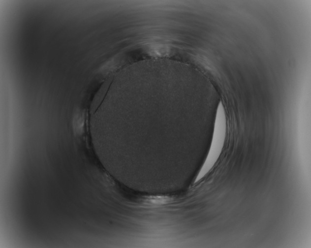 X0000088670233200706141342