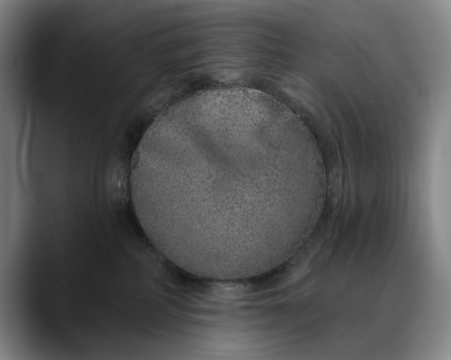 X0000088670234200706141342