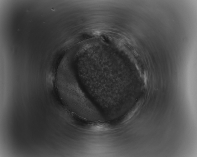 X0000088670235200706141342