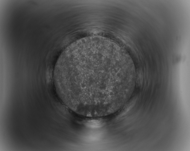 X0000088670236200706141342