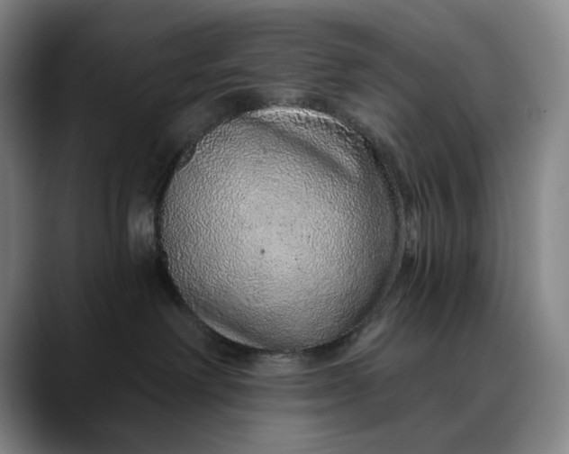 X0000088670238200706141342