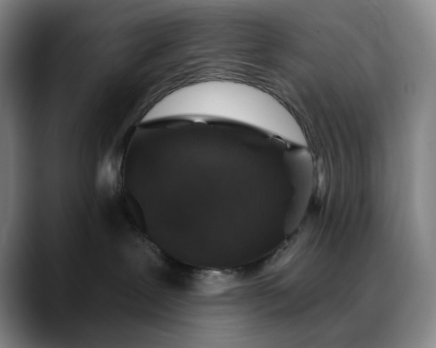 X0000088670239200706141342