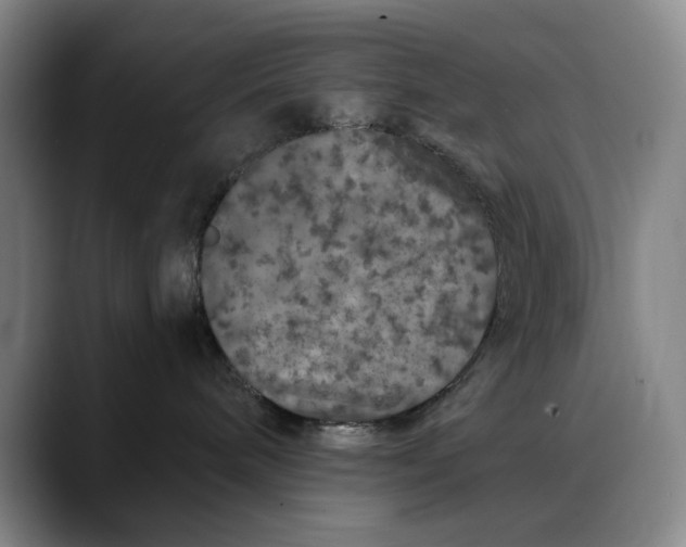 X0000088670240200706141342