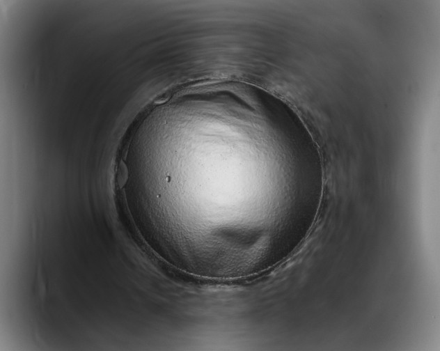 X0000088670242200706141341