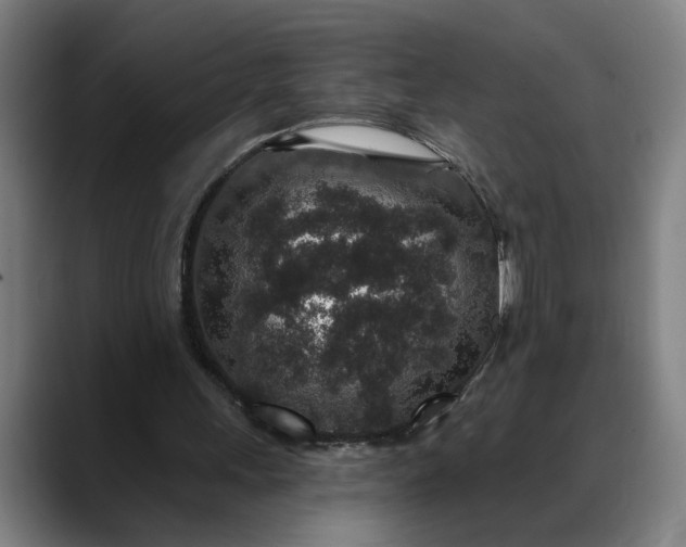 X0000088670243200706141341