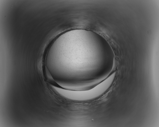 X0000088670244200706141341