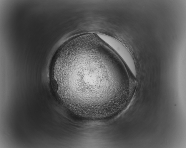 X0000088670246200706141341