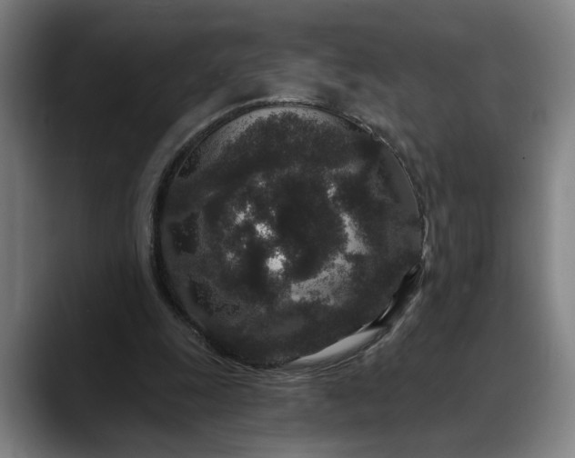X0000088670247200706141341