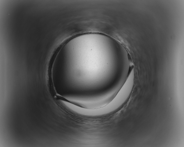 X0000088670248200706141341