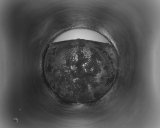 X0000088670249200706141341
