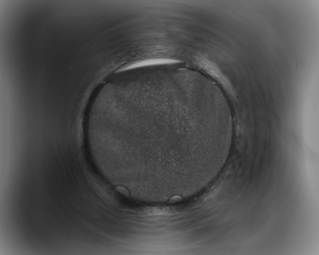 X0000088670250200706141341