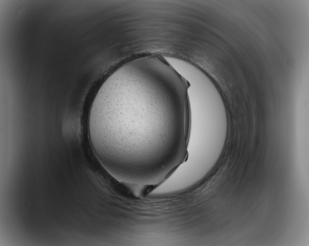 X0000088670252200706141341
