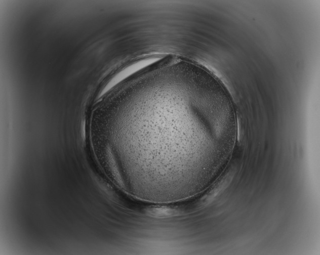 X0000088670253200706141341