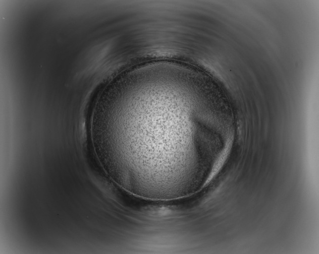 X0000088670254200706141341