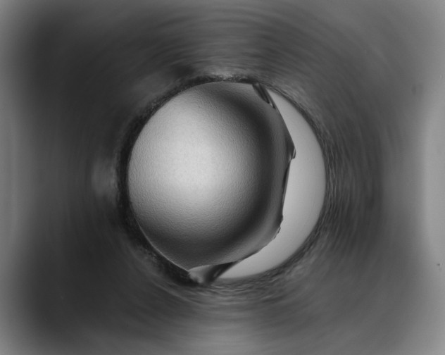 X0000088670256200706141341