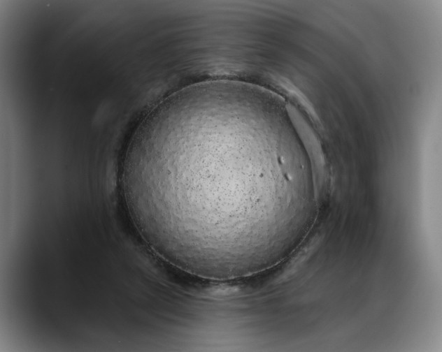 X0000088670257200706141341
