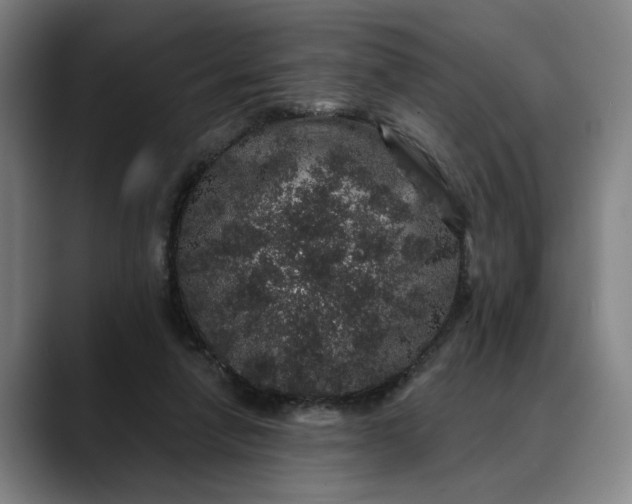 X0000088670258200706141341