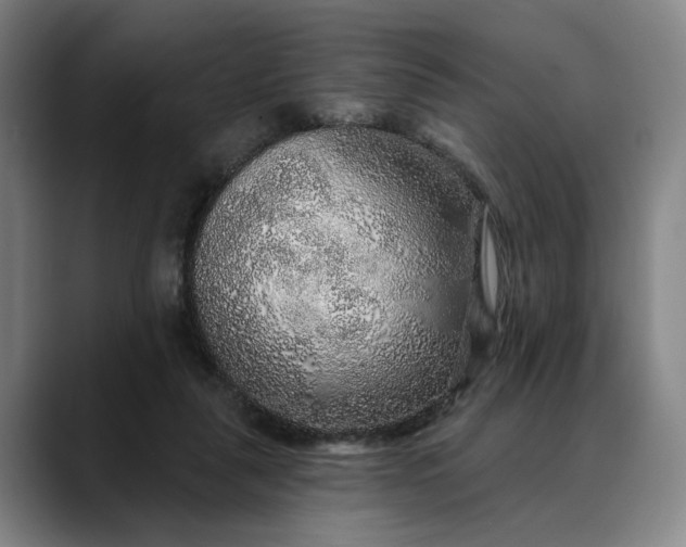 X0000088670259200706141341