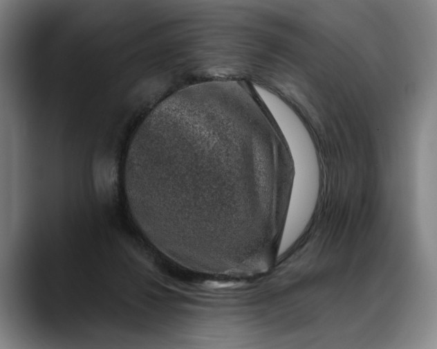 X0000088670260200706141341