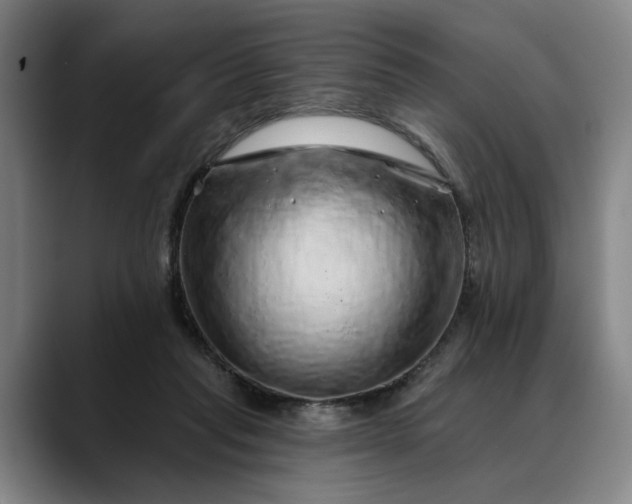 X0000088670261200706141341