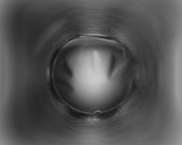 X0000088670262200706141341