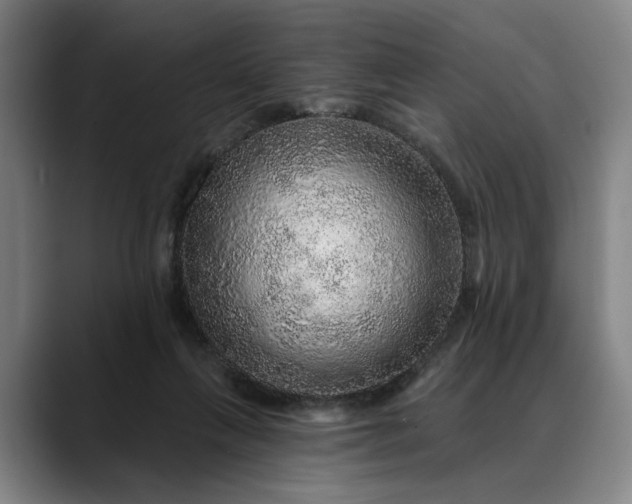 X0000088670263200706141341